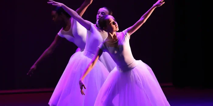 298A2909 copia_10_11zon